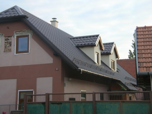 střechy 2010 001